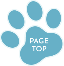 pagetopへ戻るボタン