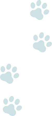 猫の足型