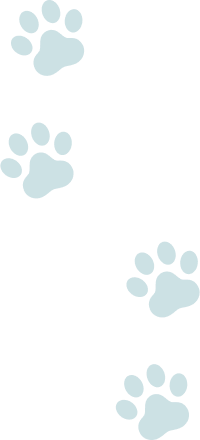 猫の足型