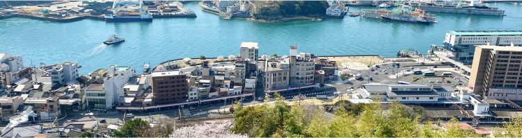 尾道を上から見下ろした風景